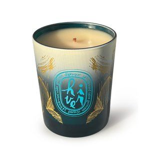 Diptyque Holiday Candle in Hiver (Winter)